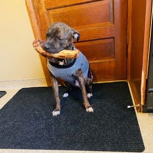 Meet your Posher, Sergio